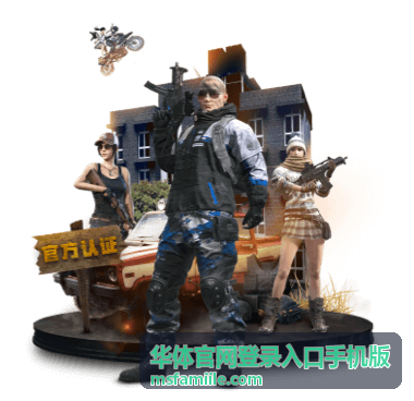 赛场活动与运动场馆信息卡片