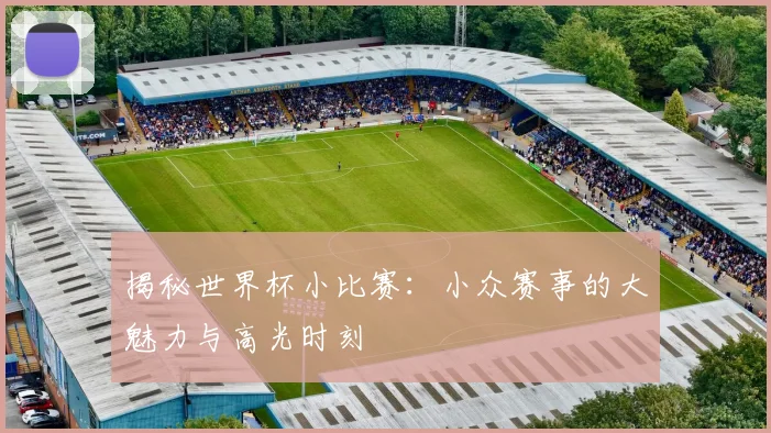 揭秘世界杯小比赛：小众赛事的大魅力与高光时刻